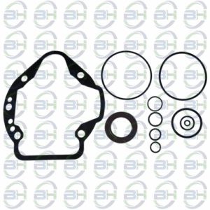 REPARO BOMBA REXROTH AP2D36