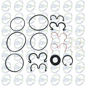 REPARO BOMBA DUPLA BOSCH AZPNF R979028357