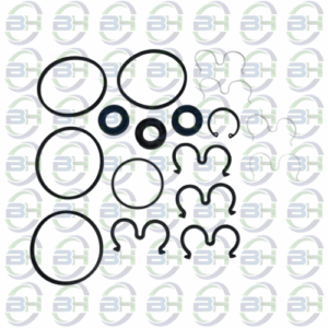 REPARO BOMBA DUPLA BOSCH 17/18 MM