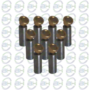 KIT PISTAO BOMBA VICKERS PVH74