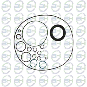 REPARO BOMBA HPV75 LINDE SIMILAR