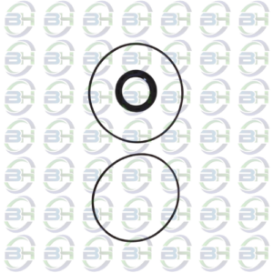 REPARO MOTOR PARKER F11-010 SIMILAR