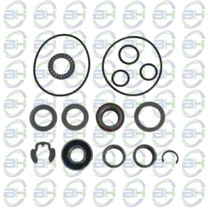REPARO MOTOR HYPRO MODELO PREMIUM TYPE 01 SIMILAR