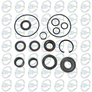 REPARO MOTOR HYPRO MODELO PREMIUM TYPE 02 SIMILAR
