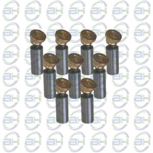 KIT PISTAO BOMBA REXROTH A10VO72 SERIE-53 SIMILAR
