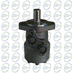 MOTOR OMP 100CC 1 A2 7/8