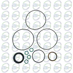 REPARO MOTOR HIDRAULICO VDH - N1 - HP - ZY